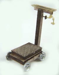 Platform Scale